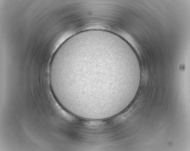 X0000090421290200708101934