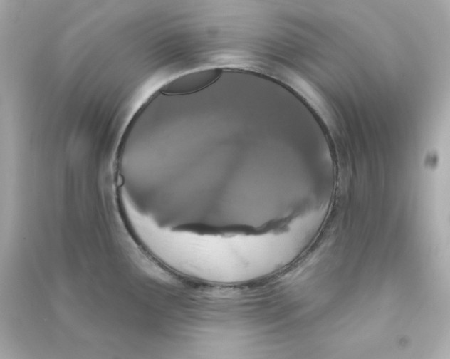 X0000090421291200708101934