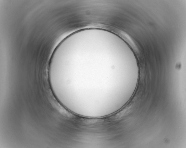 X0000090421292200708101934
