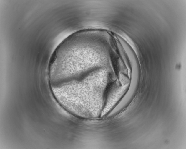 X0000090421293200708101934