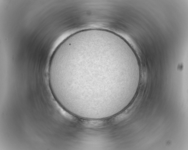 X0000090421294200708101934