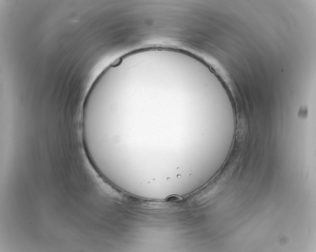 X0000090421295200708101934