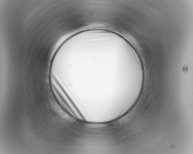 X0000090421296200708101934