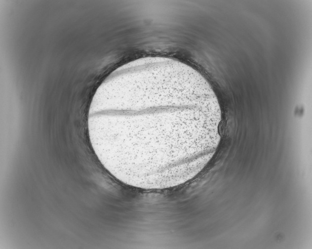 X0000090421297200708101933