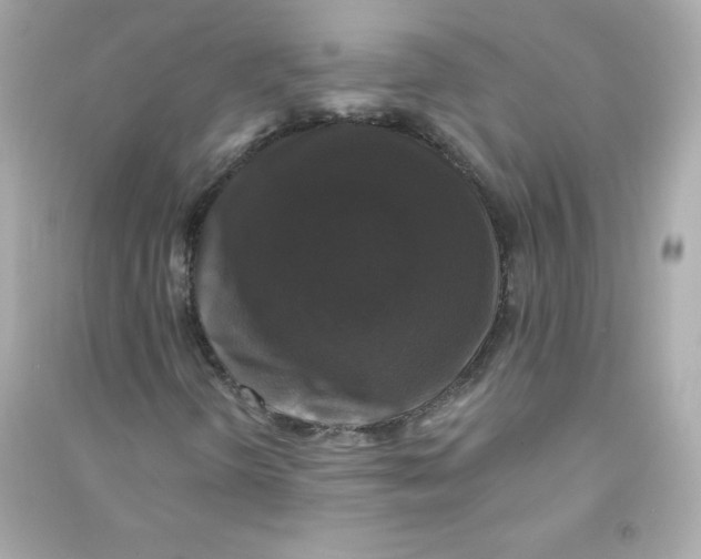 X0000090421298200708101933