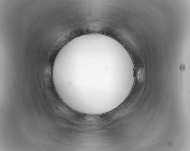 X0000090421299200708101933