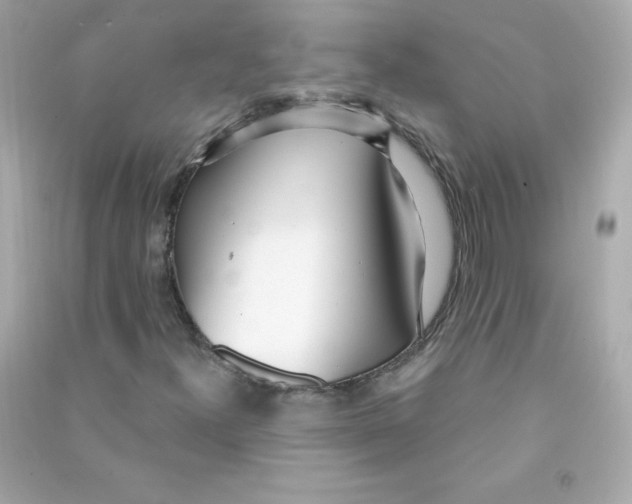 X0000090421300200708101933