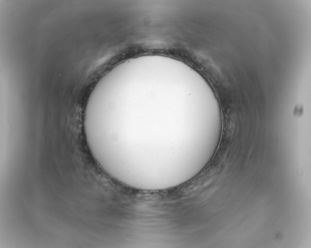 X0000090421301200708101933