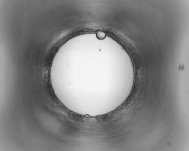X0000090421302200708101933