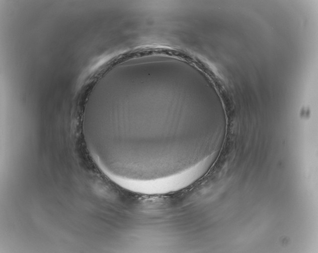 X0000090421303200708101933