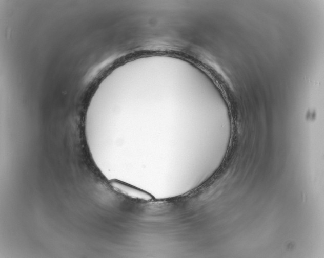 X0000090421304200708101933