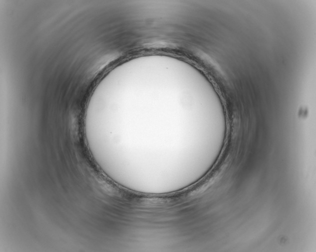 X0000090421305200708101933