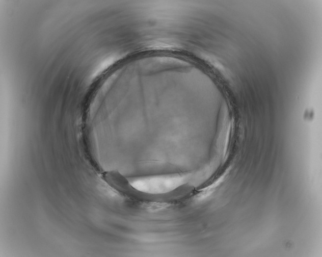 X0000090421306200708101933