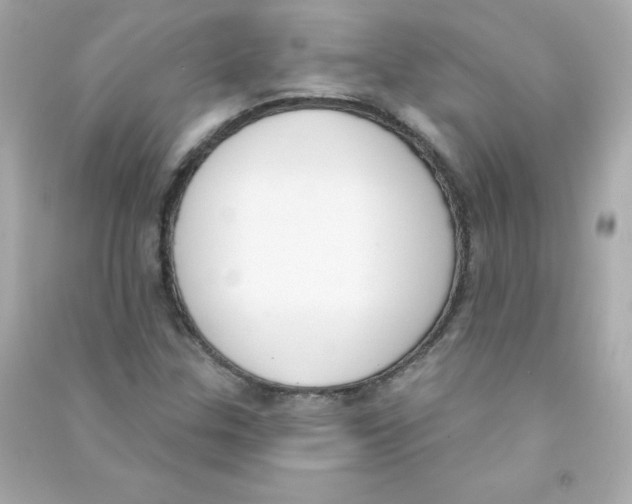 X0000090421307200708101933