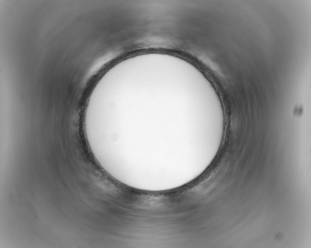 X0000090421309200708101933
