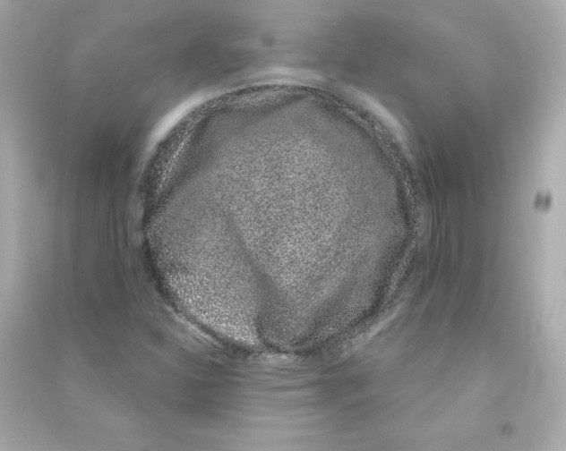 X0000090421310200708101933