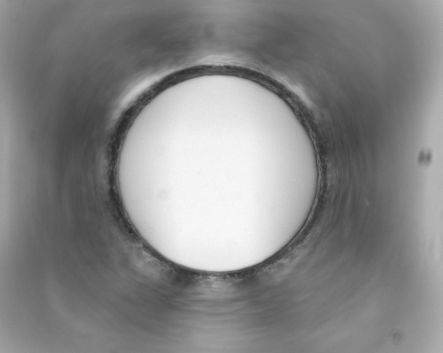 X0000090421311200708101933
