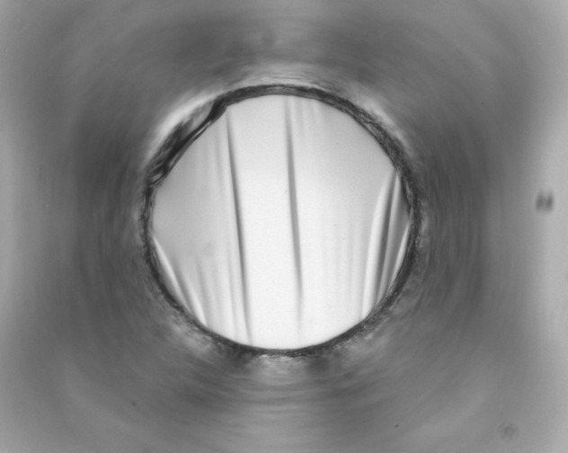 X0000090421312200708101933