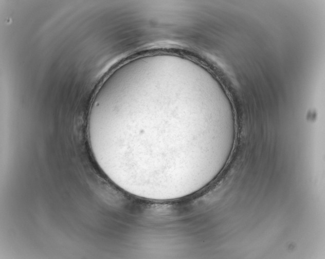 X0000090421313200708101933