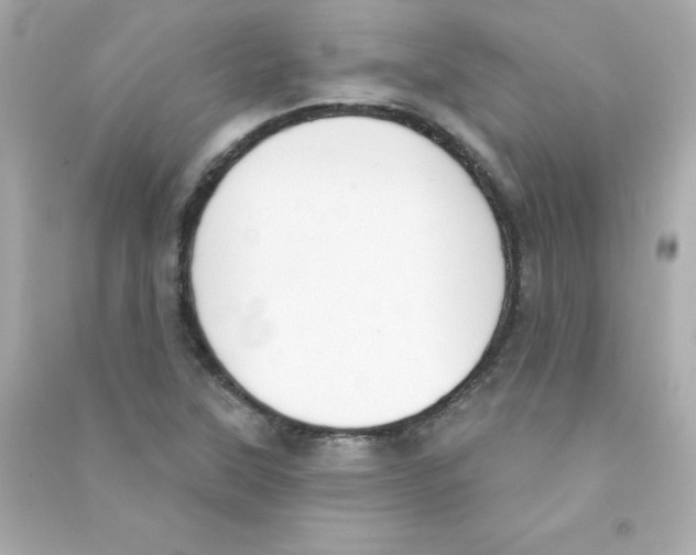 X0000090421315200708101933