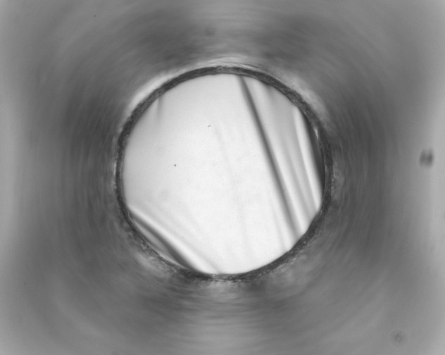 X0000090421316200708101933
