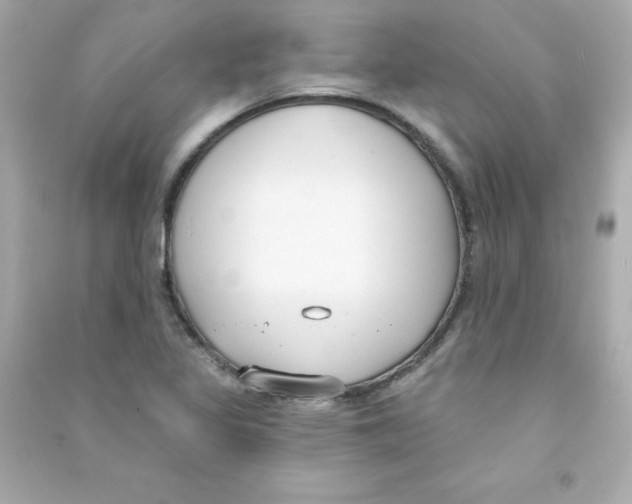 X0000090421317200708101933