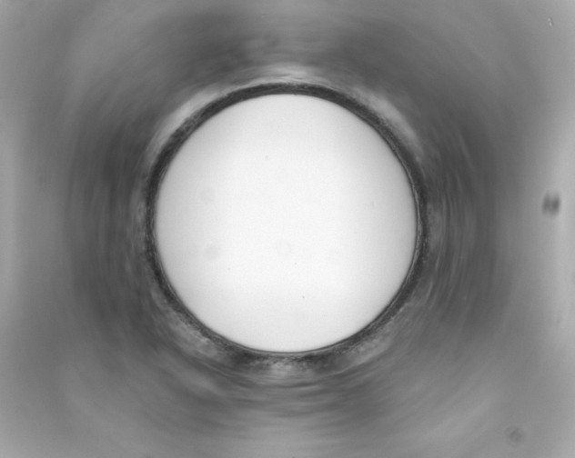 X0000090421318200708101933