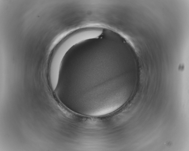 X0000090421319200708101933