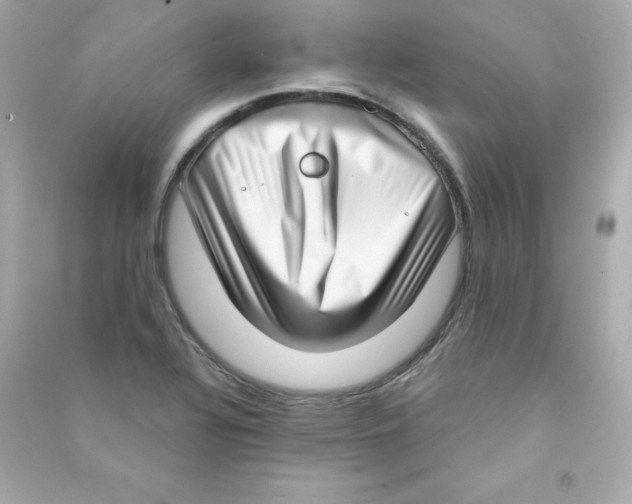 X0000090421320200708101933