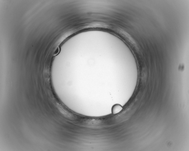 X0000090421321200708101933