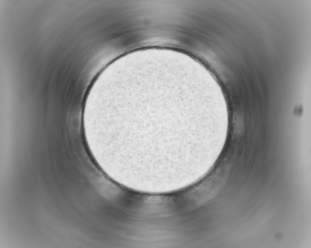 X0000090421322200708101933