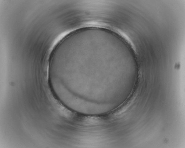 X0000090421323200708101933