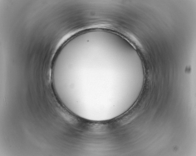 X0000090421324200708101933