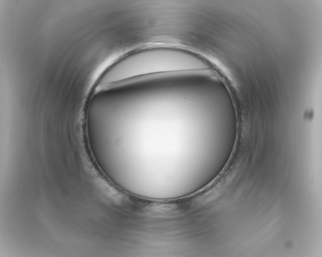 X0000090421325200708101933