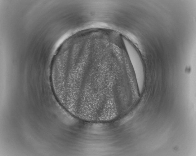 X0000090421326200708101933