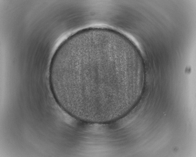 X0000090421327200708101933
