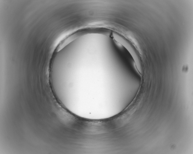 X0000090421328200708101933