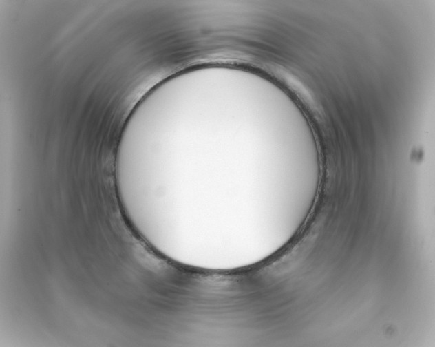 X0000090421329200708101933
