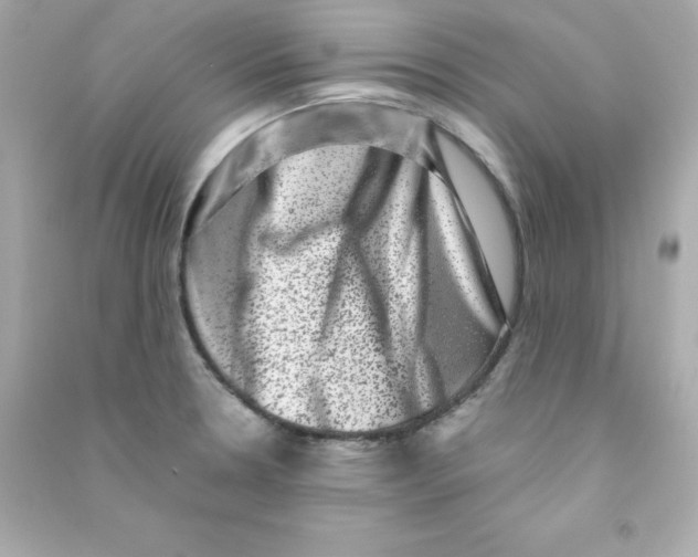 X0000090421330200708101933