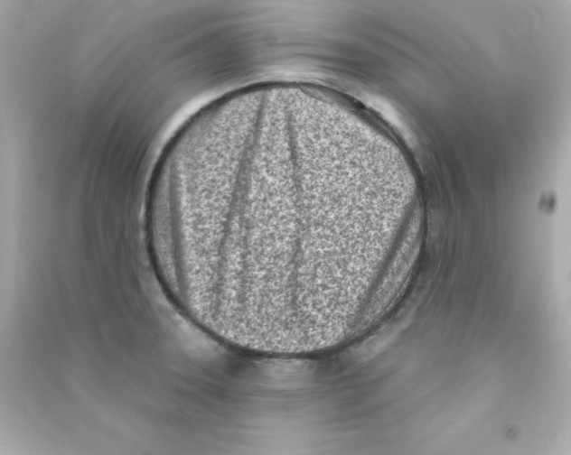 X0000090421331200708101933
