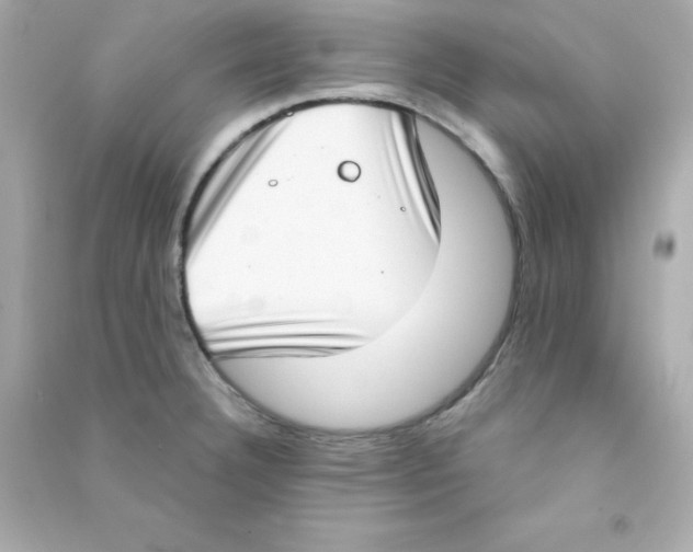 X0000090421332200708101933