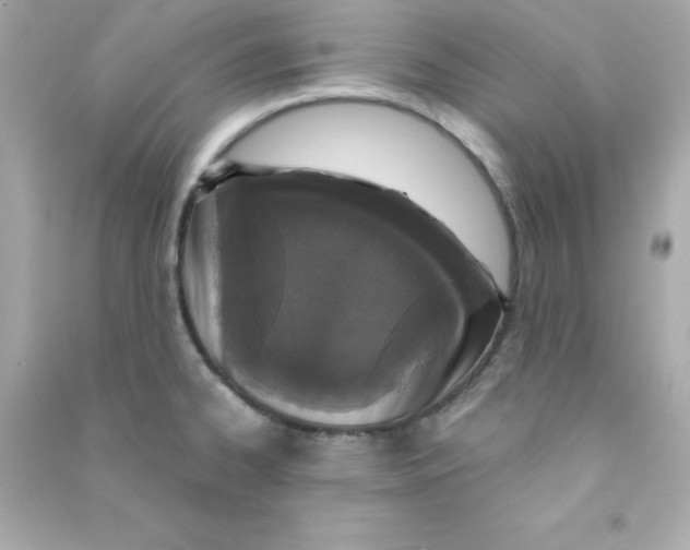 X0000090421334200708101933