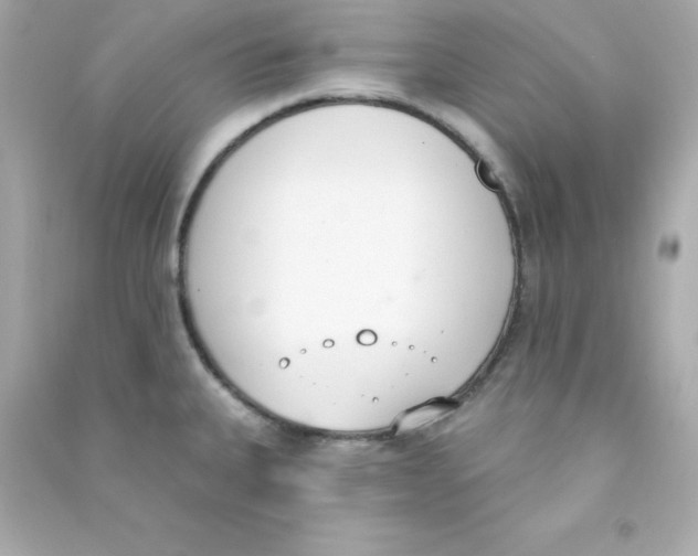 X0000090421335200708101933