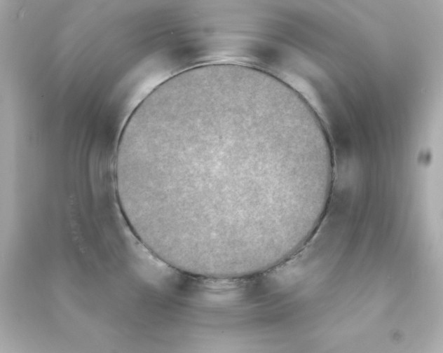 X0000090421338200708101933