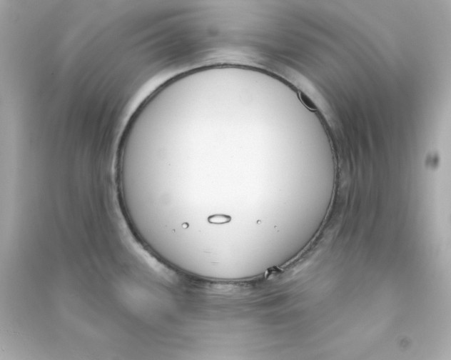 X0000090421339200708101933