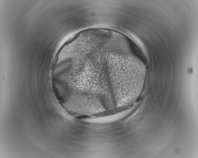X0000090421340200708101933