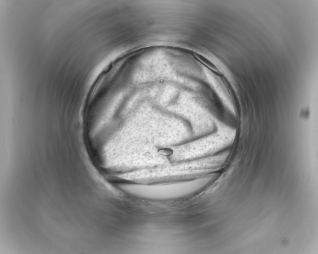 X0000090421341200708101933