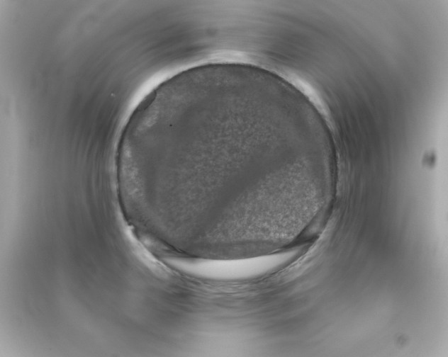 X0000090421342200708101934