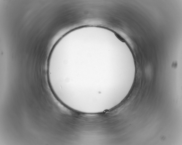 X0000090421343200708101934