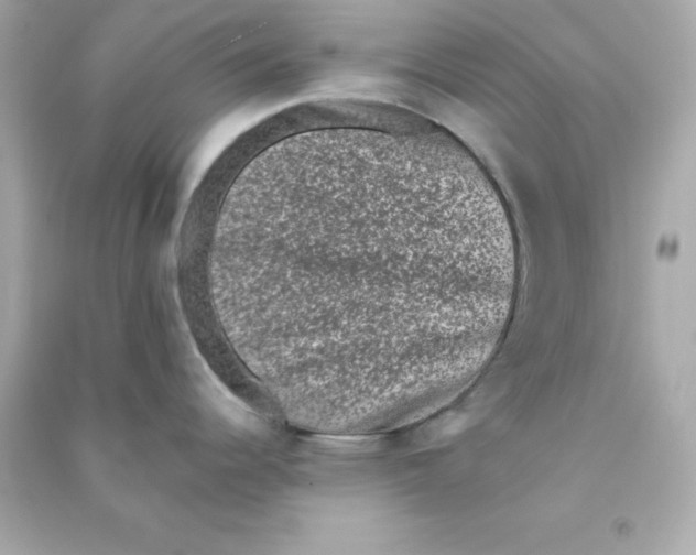X0000090421344200708101934